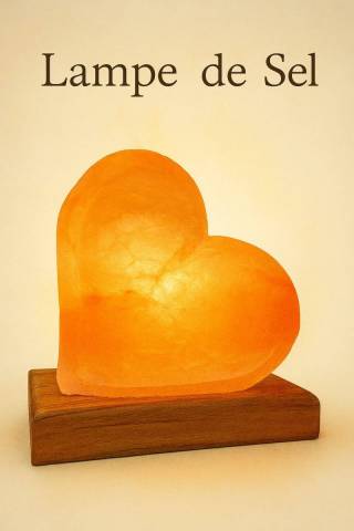 Lampe de Sel en Forme de Cur 