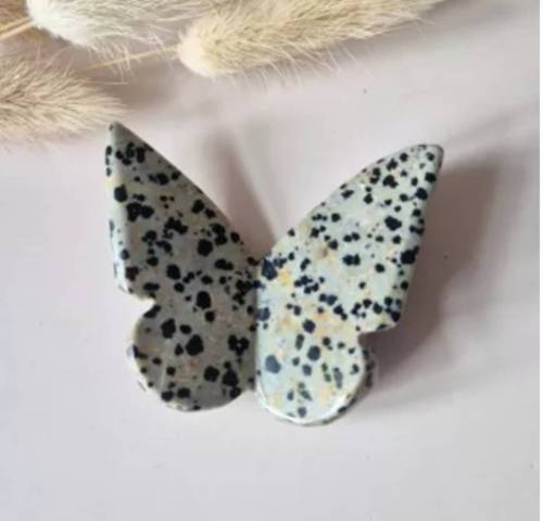 Papillon en jaspe dalmatien 